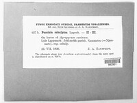 Image Associated With the Occurence